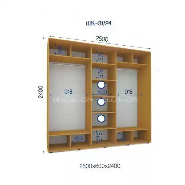 Шкаф-купе 31/24-3Ф-2500*600*2400 3-х дверный
