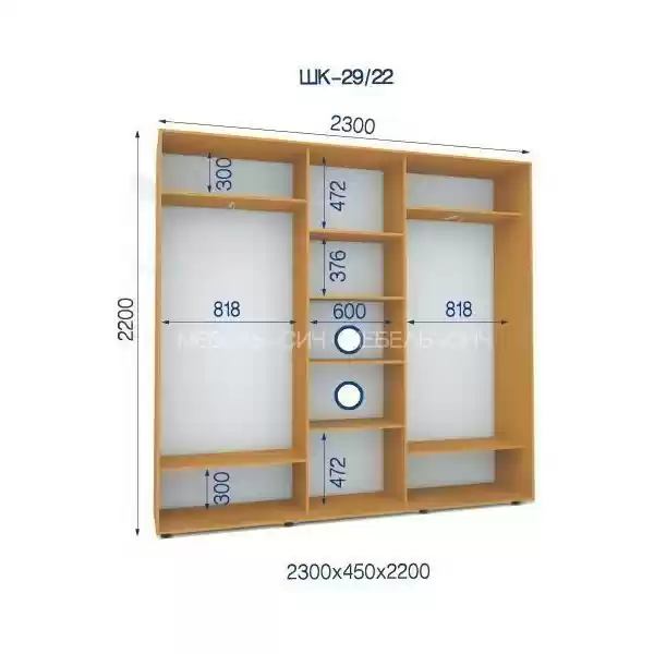 Шкаф-купе-29/22-2300*450*2200 3-х дверный с зеркалом